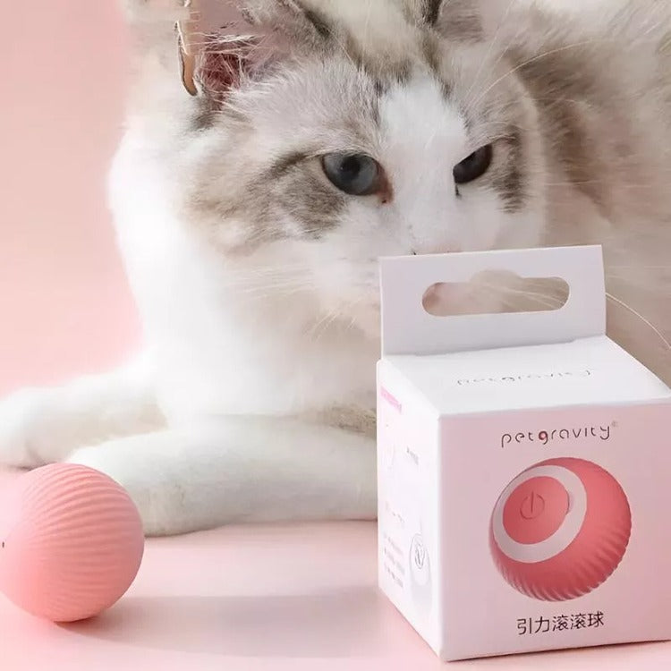 Jucarie Interactiva Pisici Smart Moving - Varivo