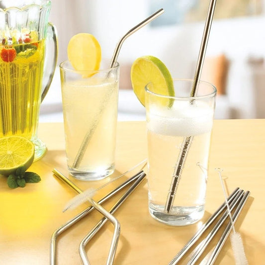 Set Paie Otel Inoxidabil Reutilizatile, 8 buc