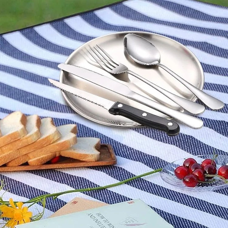 Set Tacamuri si Farfurii Picnic, 10 piese