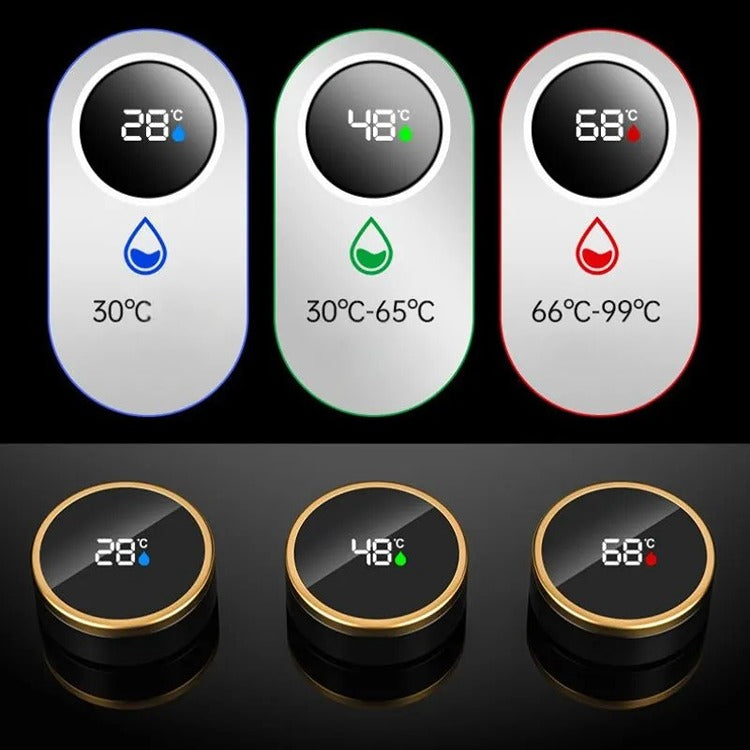 Termos Infuzor din Inox cu Afisaj Temperatura