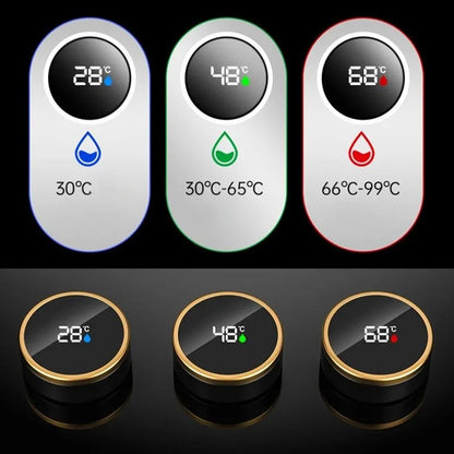 Termos Infuzor din Inox cu Afisaj Temperatura